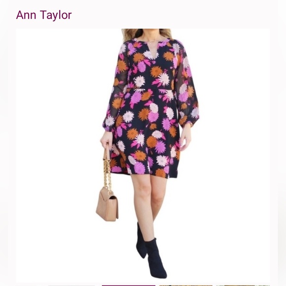 Ann Taylor Dresses & Skirts - Ann Taylor Autumnal Floral Chiffon
Sleeve Flare Dress Size 4P